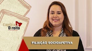 Explica Direito Filiação Socioafetiva  2019 [upl. by Spense]